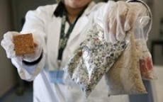 Muestras de diferentes residuos para su investigaci�n