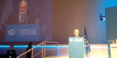 Intervenci�n de Arias Ca�ete en la Cumbre de Doha