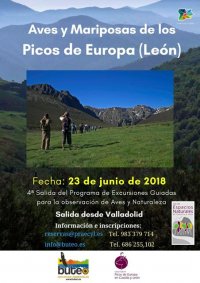 Excursin para la observacin de aves y mariposas en el Parque Regional de Picos de Europa (Len)