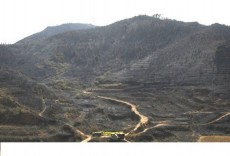 Declogo bsico para la prevencin de incendios forestales