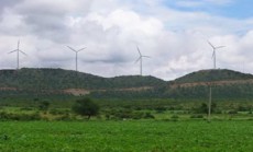 Parque e�lico