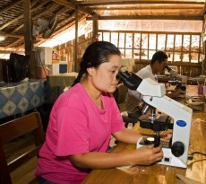 Unidad de investigaci�n de la malaria