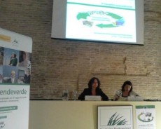 Encuentro sobre econom�a circular