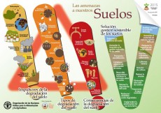 Infograf�a sobre las amenazas a nuestros suelos