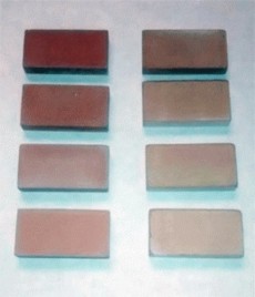 Ladrillos ecol�gicos a partir de cenizas de pino y olivo