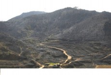 Dec�logo b�sico para la prevenci�n de incendios forestales