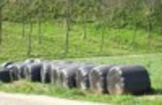 Balas de paja envueltas en pl�stico